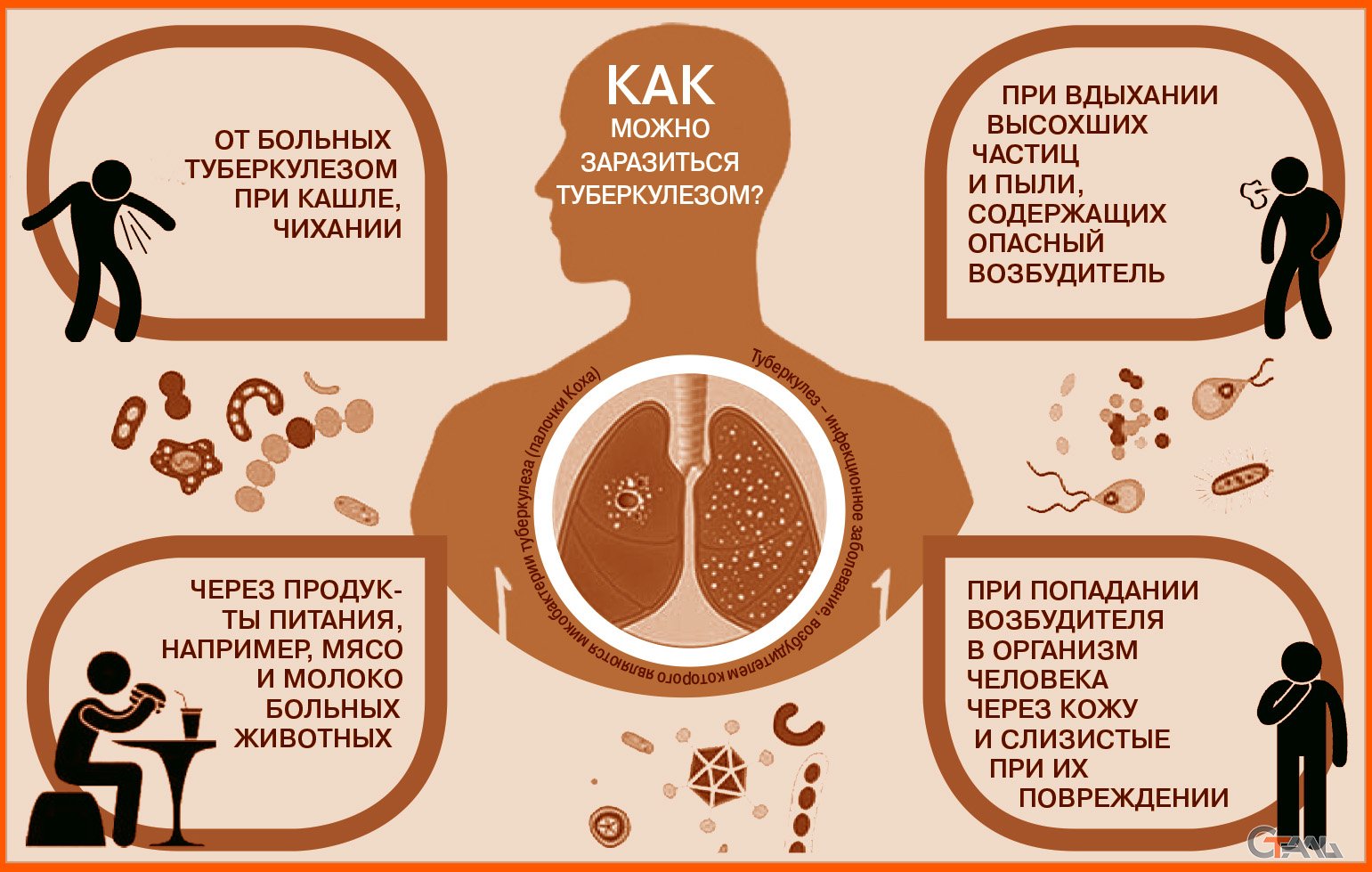 ЗОЖ и профилактика заболеваний | Долг врача в том, чтобы лечить безопасно,  качественно, приятно